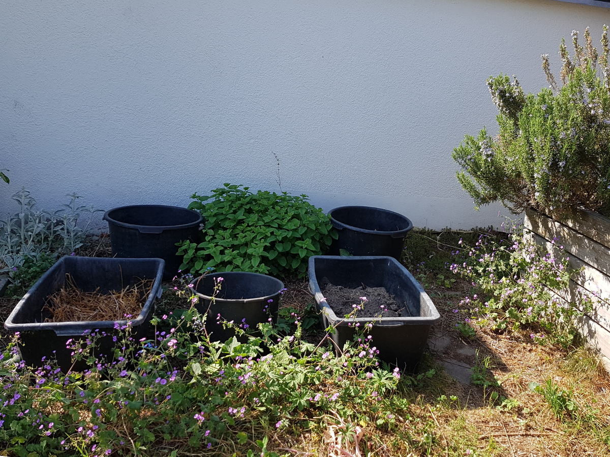 Kübel für Gemüsepflanzen